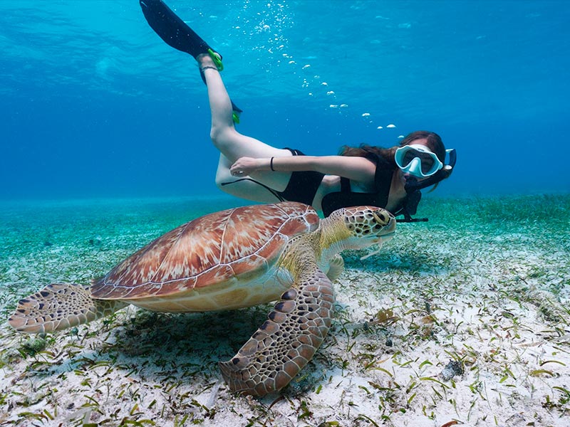 Difference-between-Snorkeling-and-Scuba-Diving-1