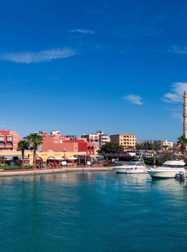 shutterstock_2079757030