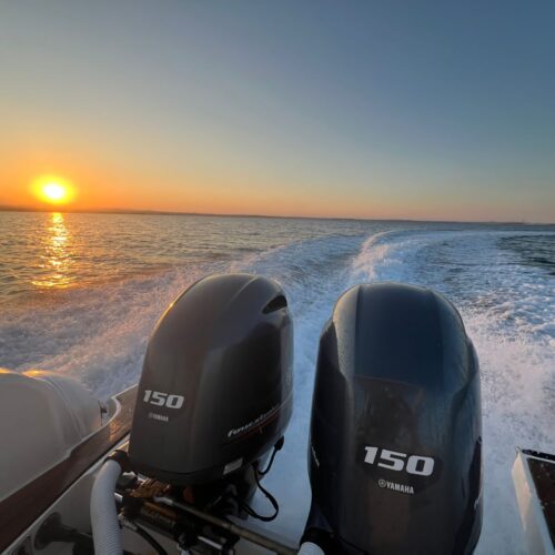 PHOTO-2026-04-18-19-04-15 2